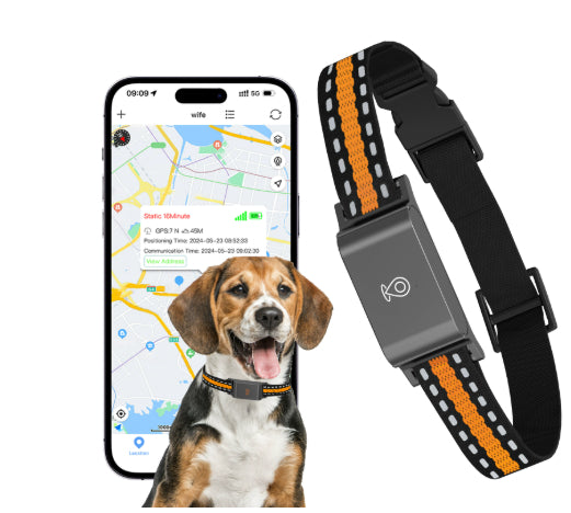 Collar Localizador GPS