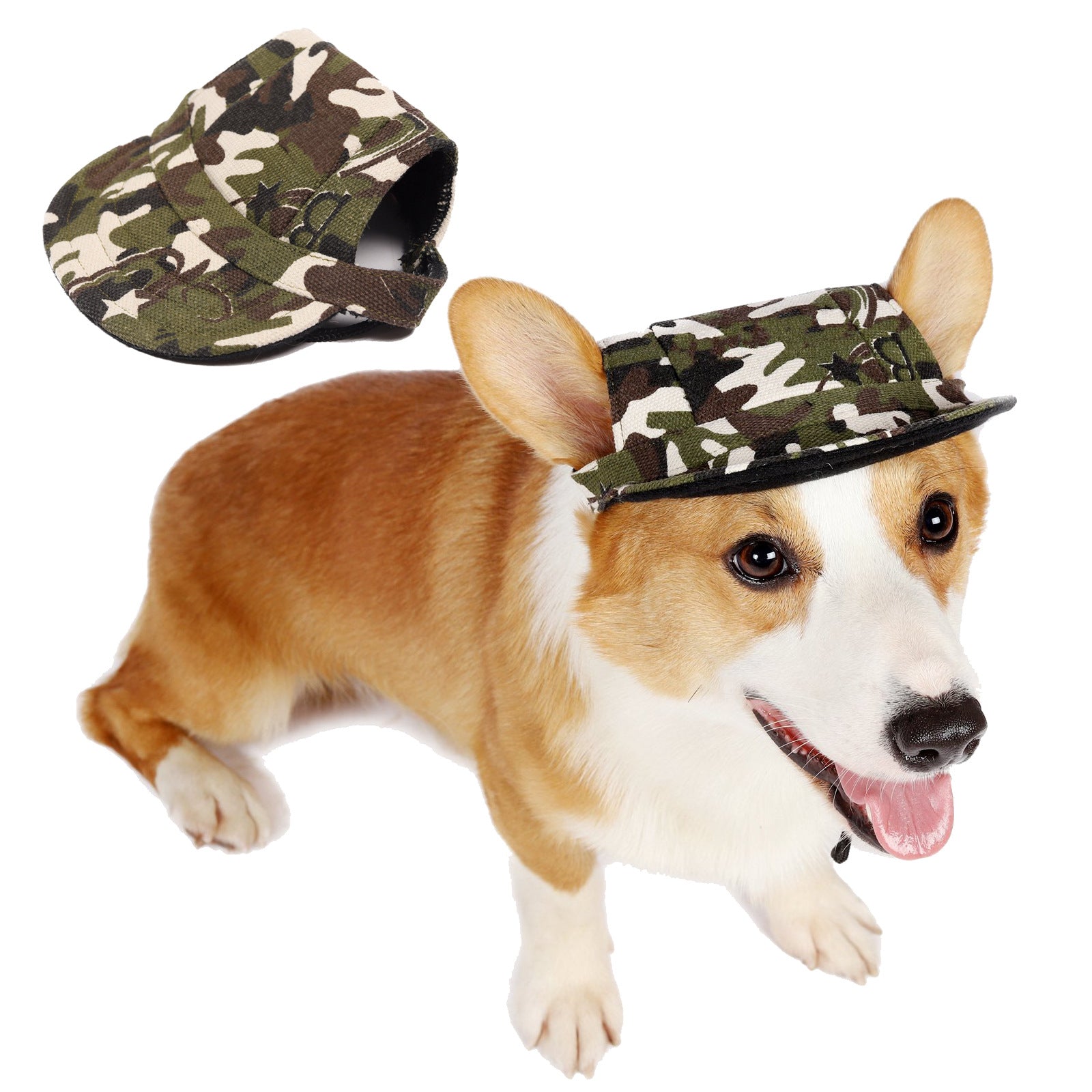 Gorra para Perros