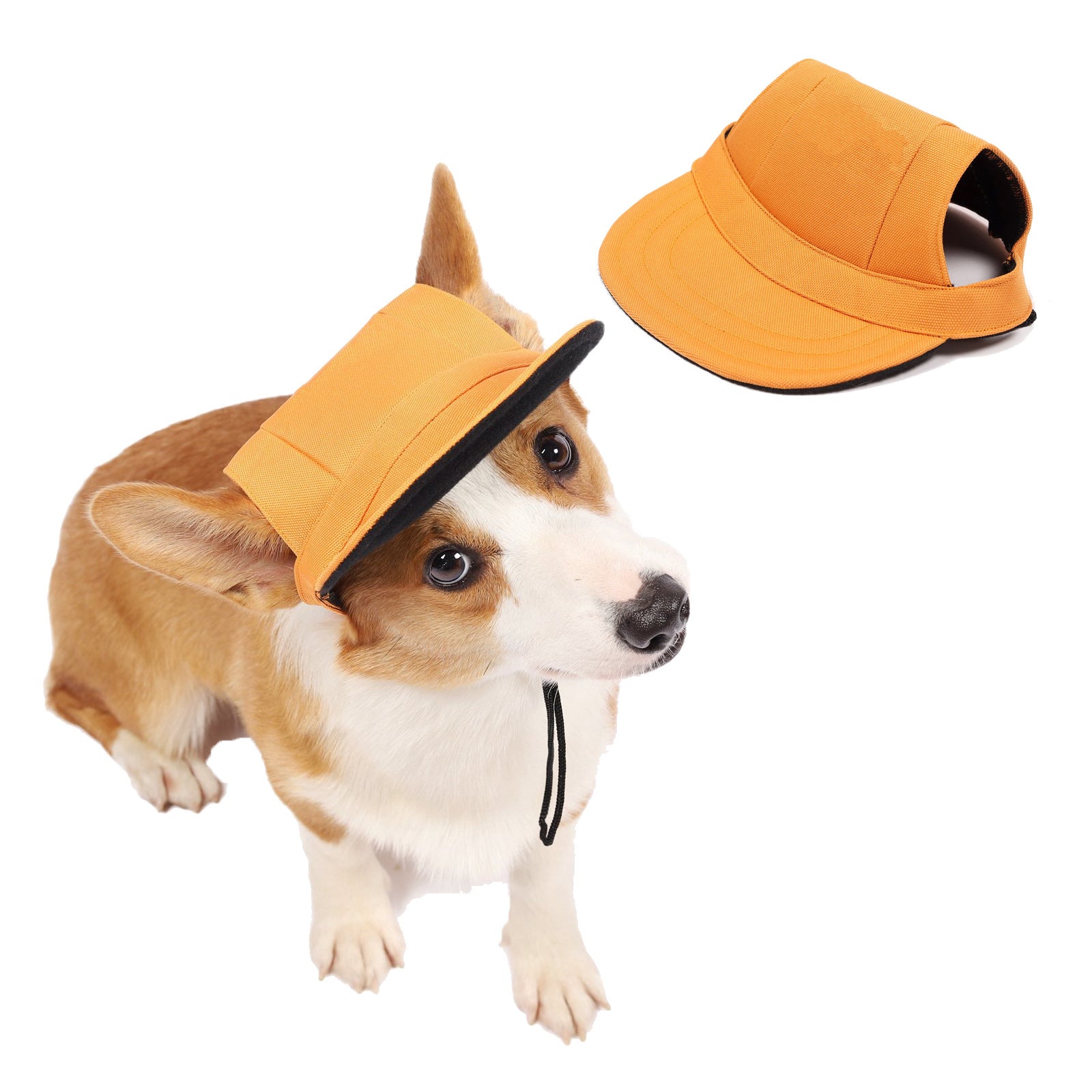 Gorra para Perros