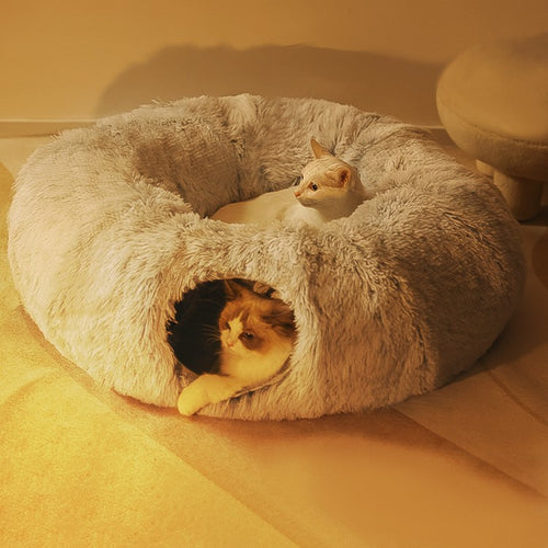 Cama-Túnel Donut 2 en 1 para Gatos