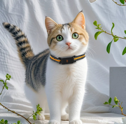 Collar Localizador GPS